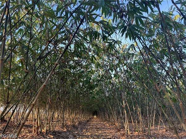 13.3 Acres of Land for Sale in LaBelle, Florida