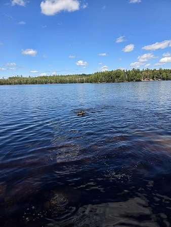 28 Acres of Land for Sale in Marshfield, Maine