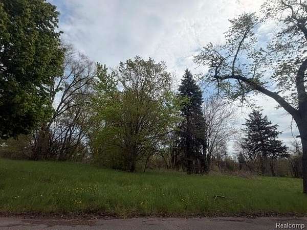 0.07 Acres of Residential Land for Sale in Detroit, Michigan