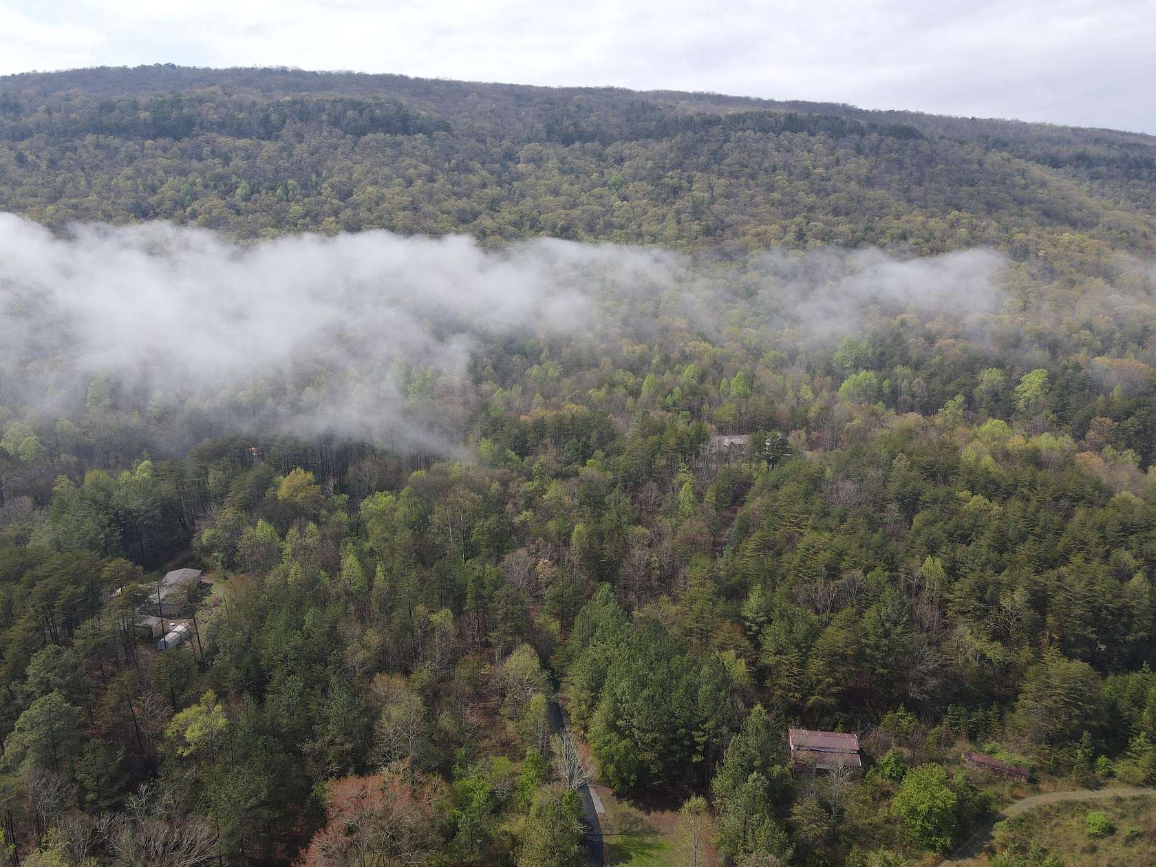 46 Acres of Recreational & Residential Land for Sale in Dayton, Tennessee