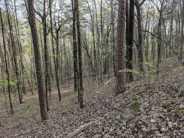 46 Acres of Recreational & Residential Land for Sale in Dayton, Tennessee