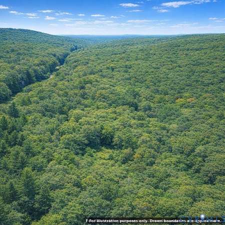 18 Acres of Recreational Land for Sale in King and Queen Court House, Virginia