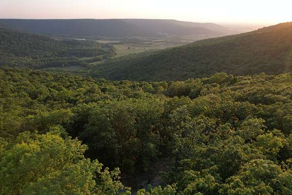 4.17 Acres of Residential Land for Sale in Altamont, Tennessee