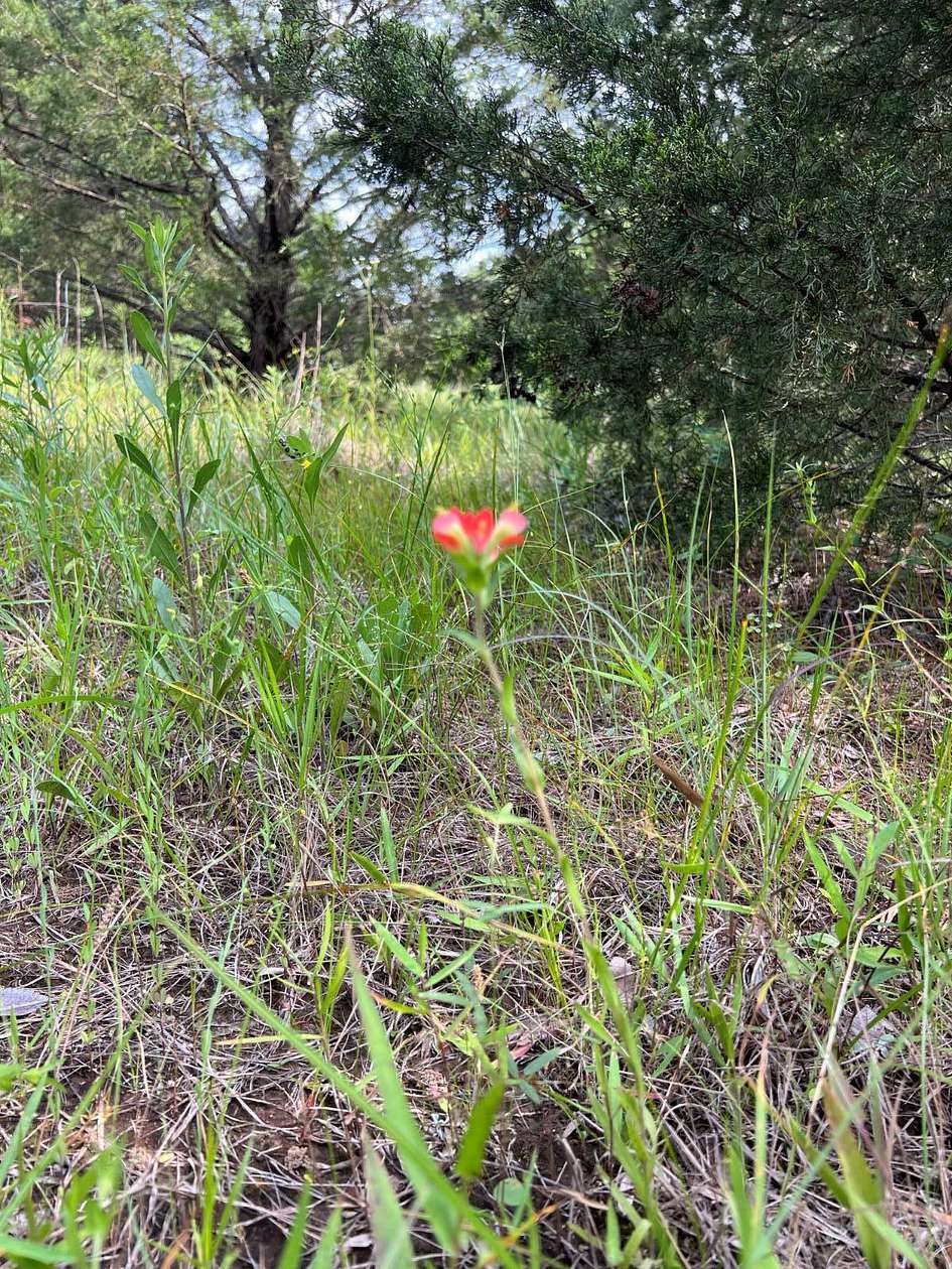 0.81 Acres of Residential Land for Sale in Colbert, Oklahoma