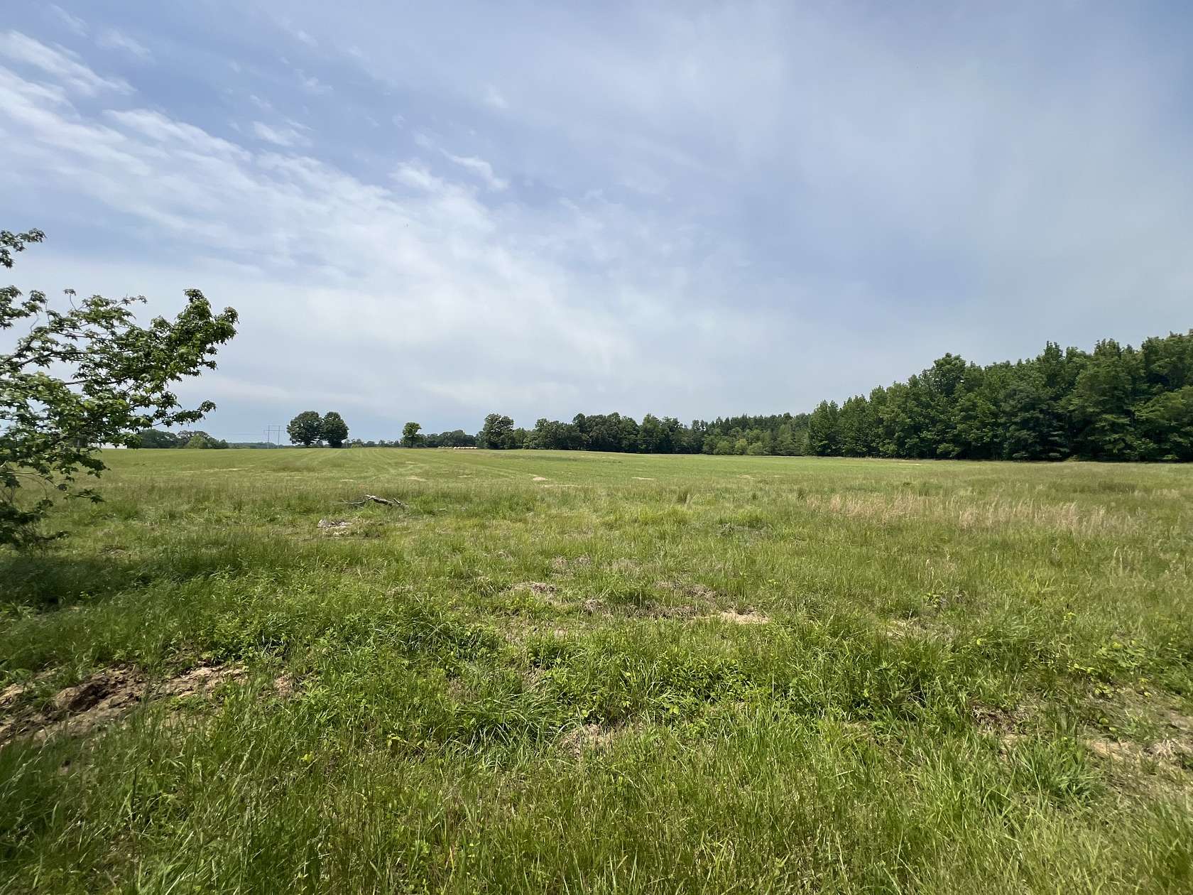 29 Acres of Land for Sale in Indian Mound, Tennessee