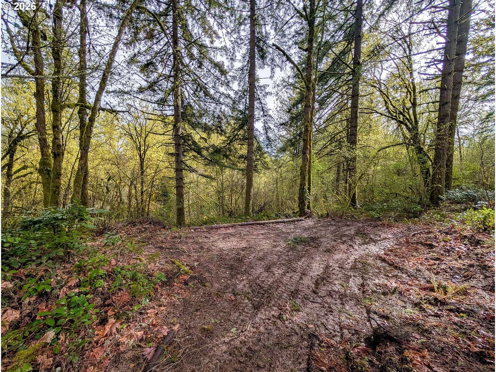 1 Acre of Residential Land for Sale in La Center, Washington