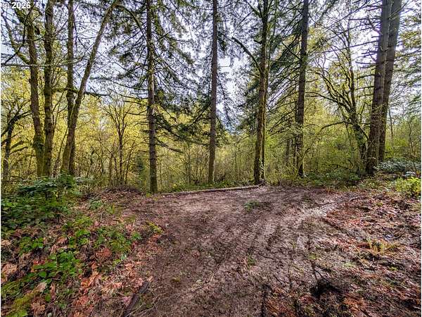 1 Acre of Residential Land for Sale in La Center, Washington