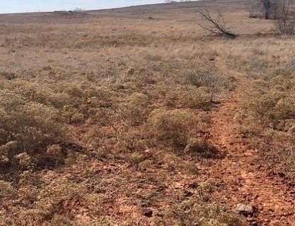 155 Acres of Land for Sale in Sayre, Oklahoma