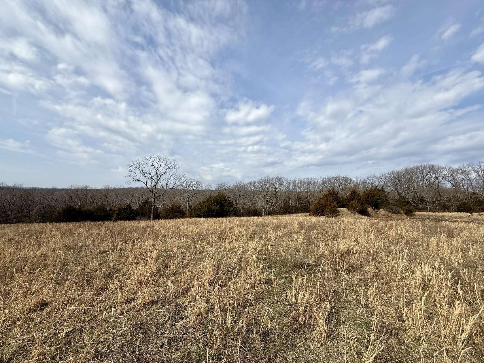 40.5 Acres of Recreational & Residential Land for Sale in Cabool, Missouri