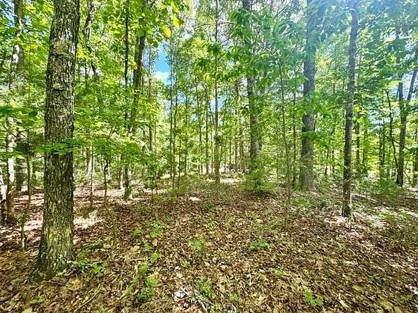 0.93 Acres of Land for Sale in Murphy, North Carolina