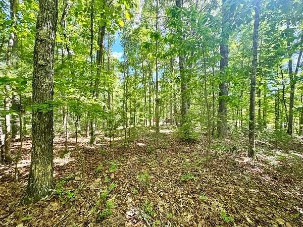 0.93 Acres of Land for Sale in Murphy, North Carolina