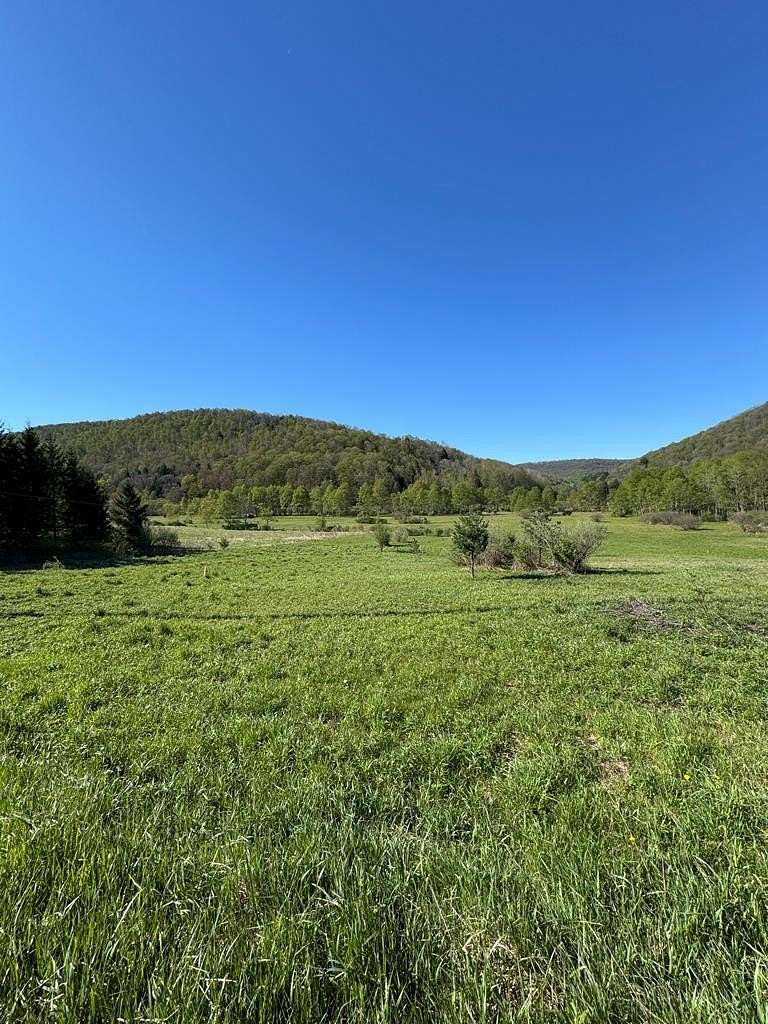 49.4 Acres of Recreational & Residential Land for Sale in Coudersport, Pennsylvania