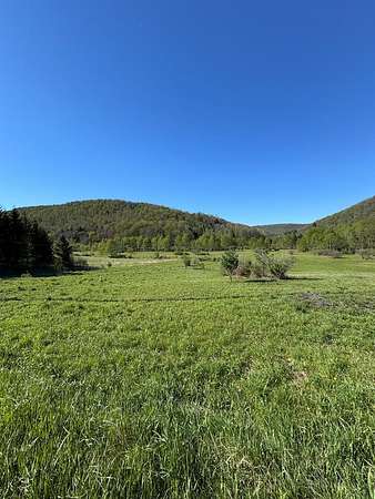 49.4 Acres of Recreational & Residential Land for Sale in Coudersport, Pennsylvania