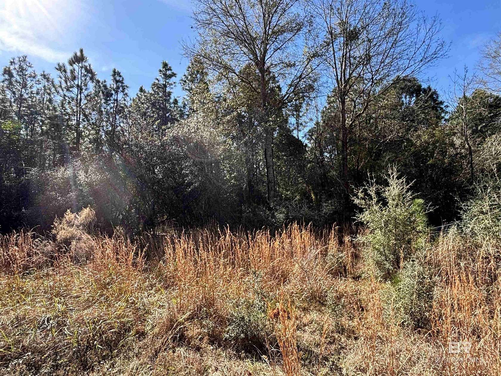 16 Acres of Recreational & Residential Land for Sale in Loxley, Alabama