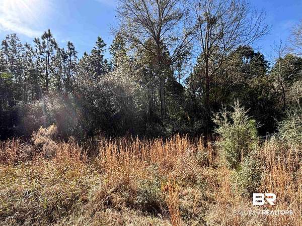 16 Acres of Recreational & Residential Land for Sale in Loxley, Alabama