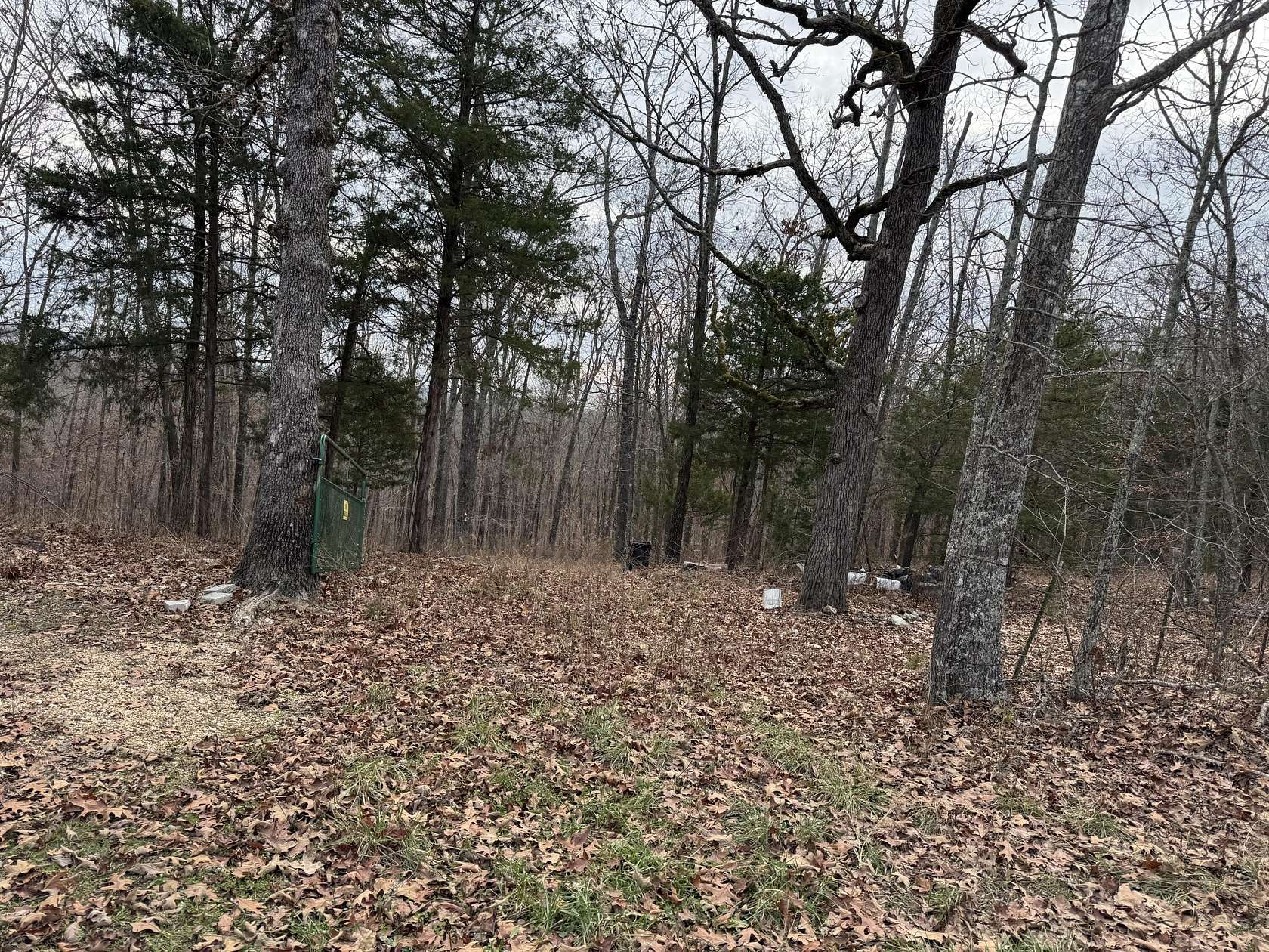 9.33 Acres of Land for Sale in Ava, Missouri