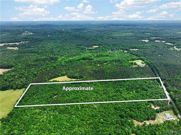 36.6 Acres of Recreational & Residential Land for Sale in Ralph, Alabama
