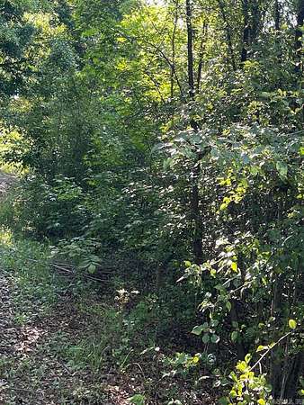 10 Acres of Residential Land for Sale in Ward, Arkansas
