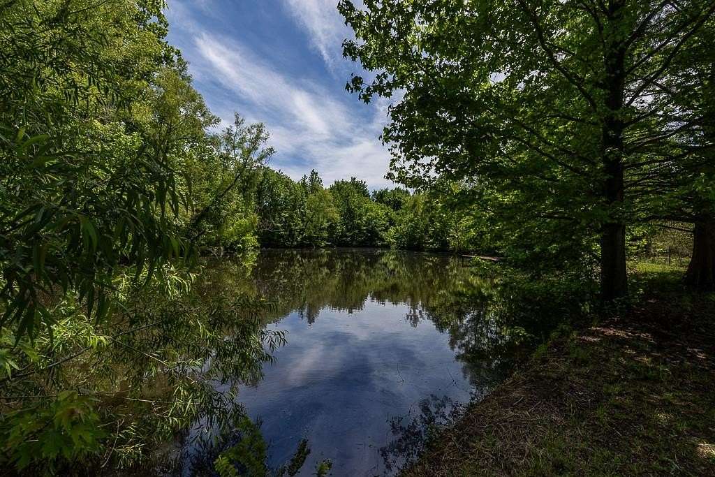 8.1 Acres of Land with Home for Sale in Drummonds, Tennessee