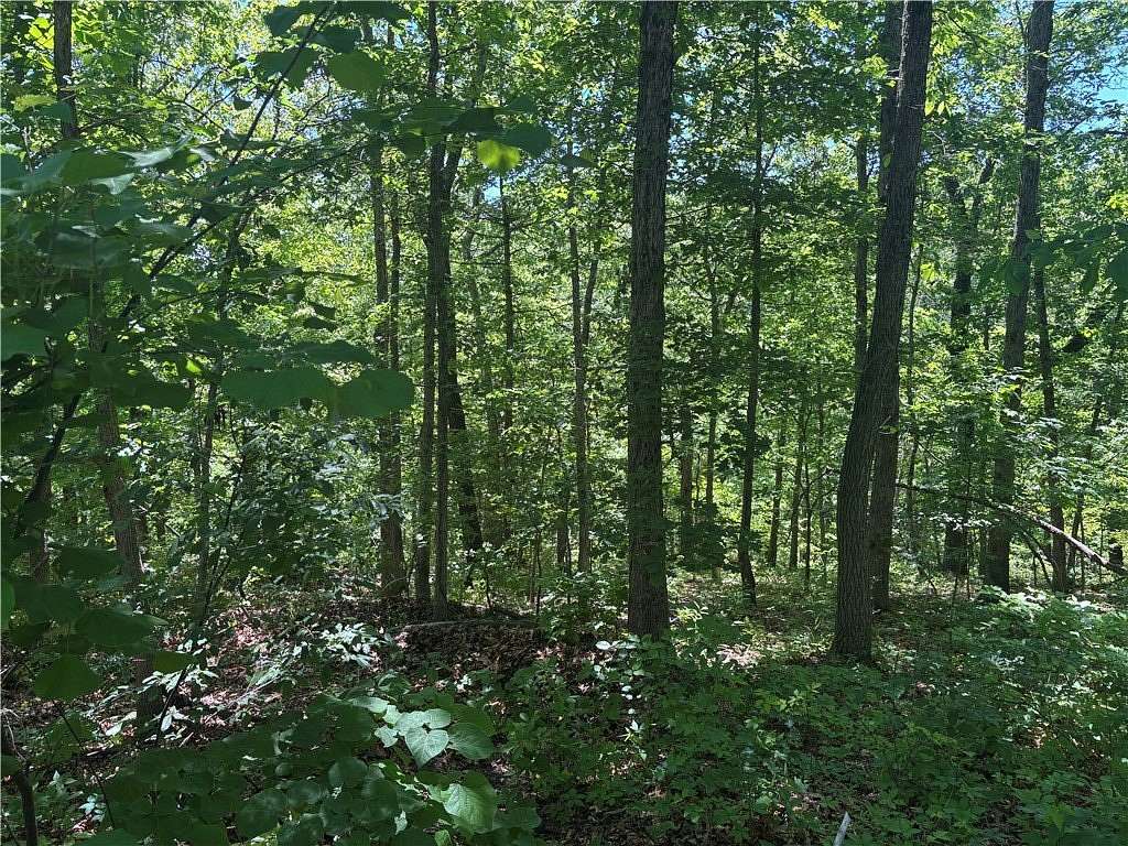 0.36 Acres of Residential Land for Sale in Bella Vista, Arkansas