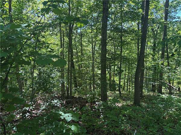 0.36 Acres of Residential Land for Sale in Bella Vista, Arkansas
