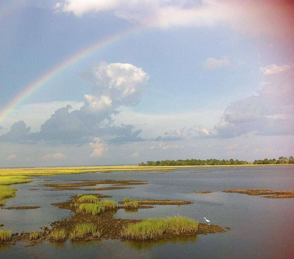 0.81 Acres of Residential Land for Sale in Horseshoe Beach, Florida