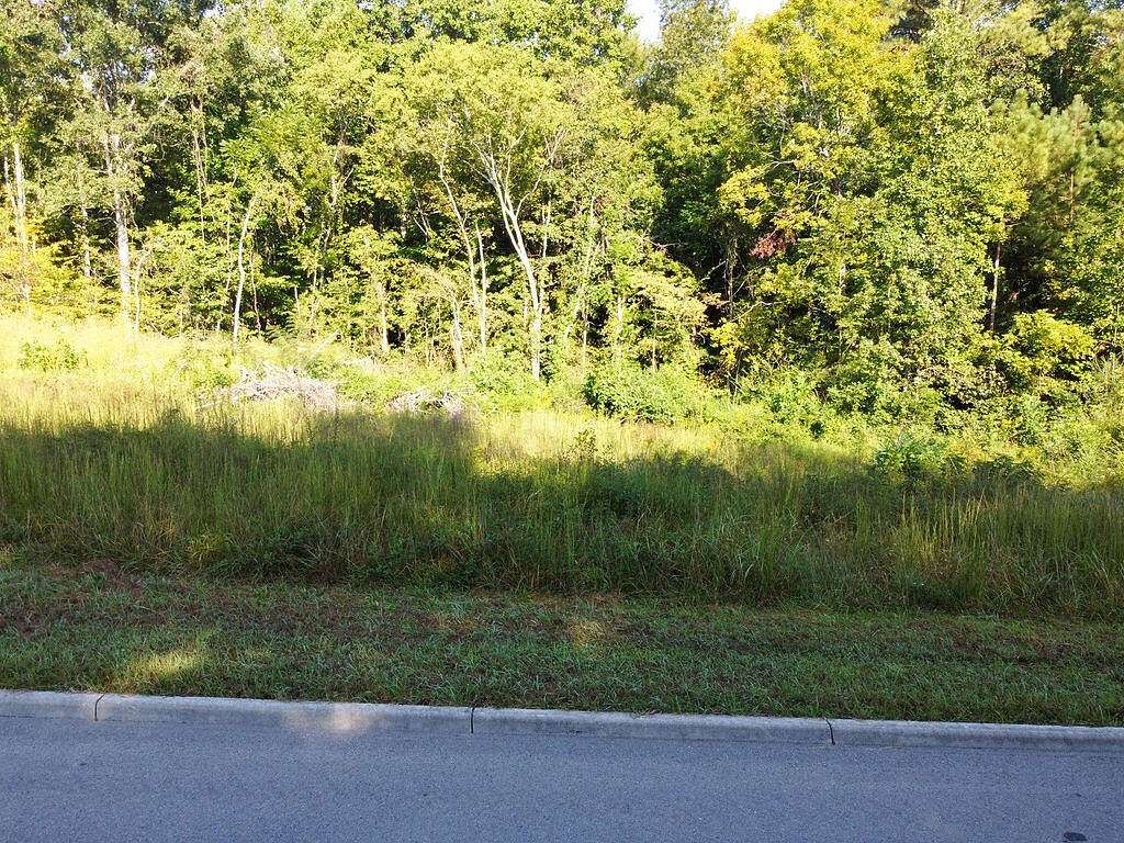 0.56 Acres of Residential Land for Sale in Athens, Tennessee