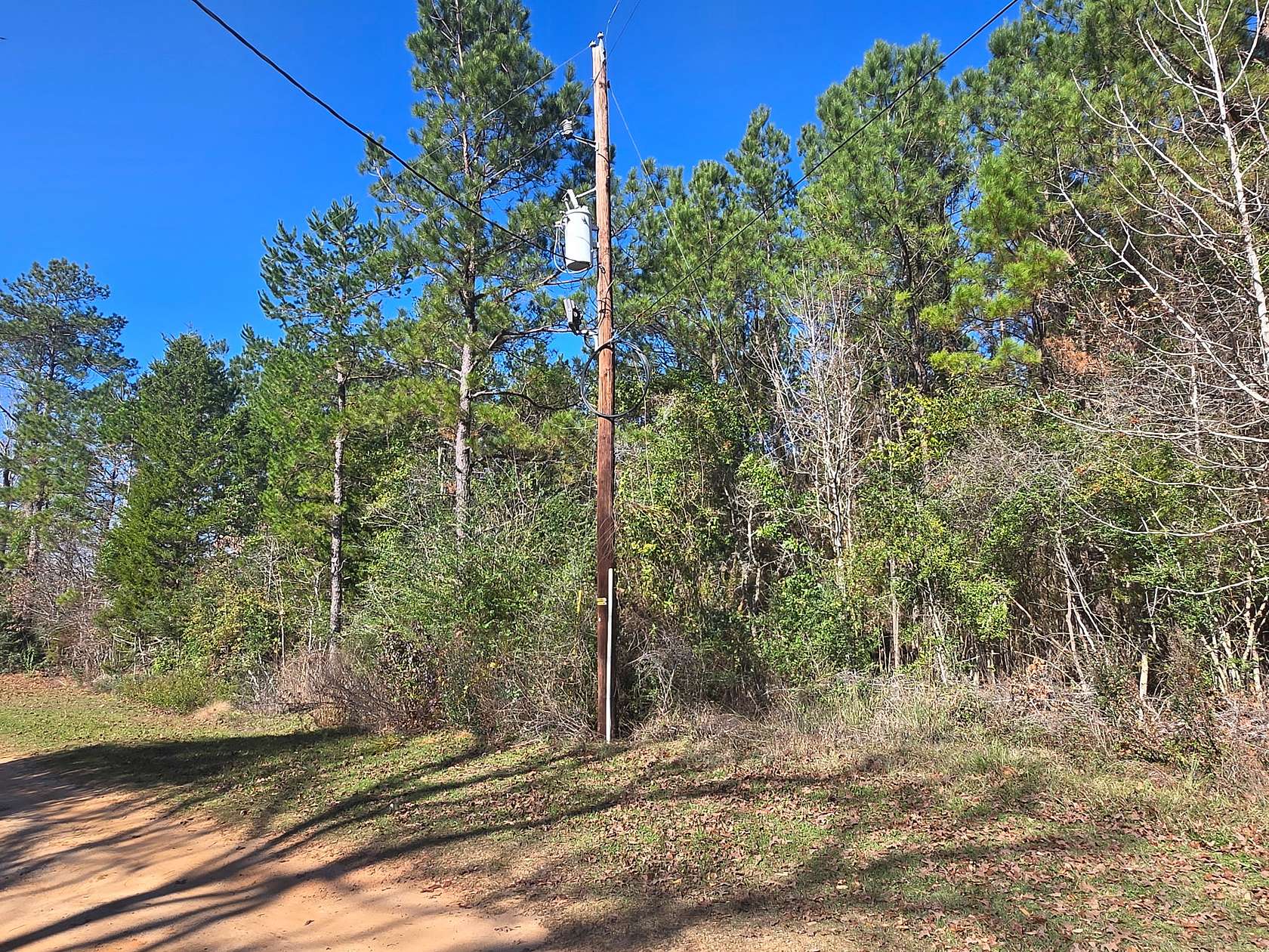 20 Acres of Recreational & Residential Land for Sale in Woodville, Texas