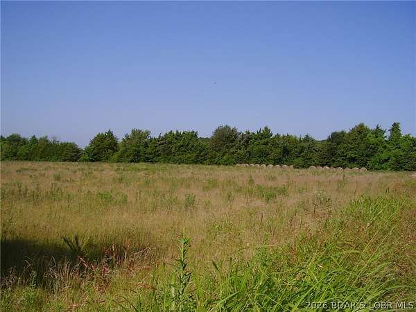 40 Acres of Land for Sale in Louisburg, Missouri