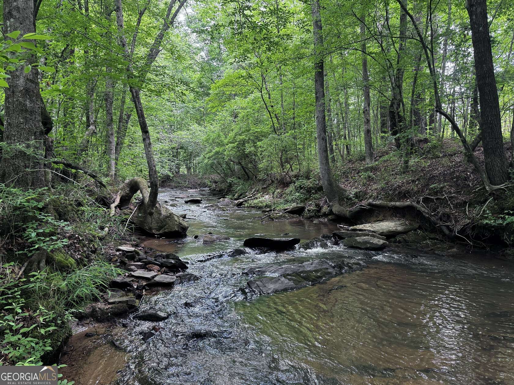 715 Acres of Recreational Land for Sale in Franklin, Georgia