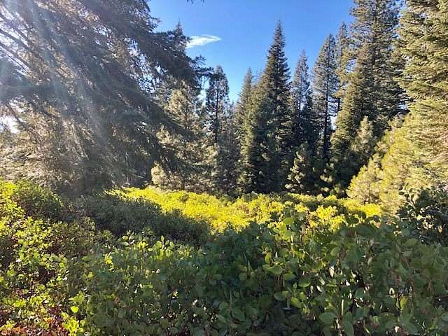 0.23 Acres of Residential Land for Sale in Lake Almanor Peninsula, California