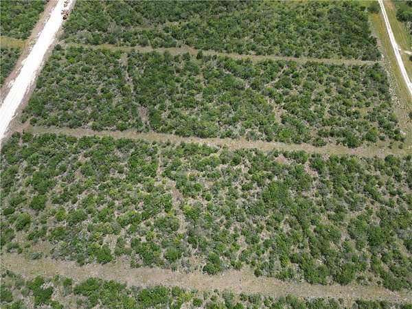 5 Acres of Residential Land for Sale in Skidmore, Texas