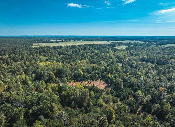 30 Acres of Recreational & Residential Land for Sale in Newburg, Missouri