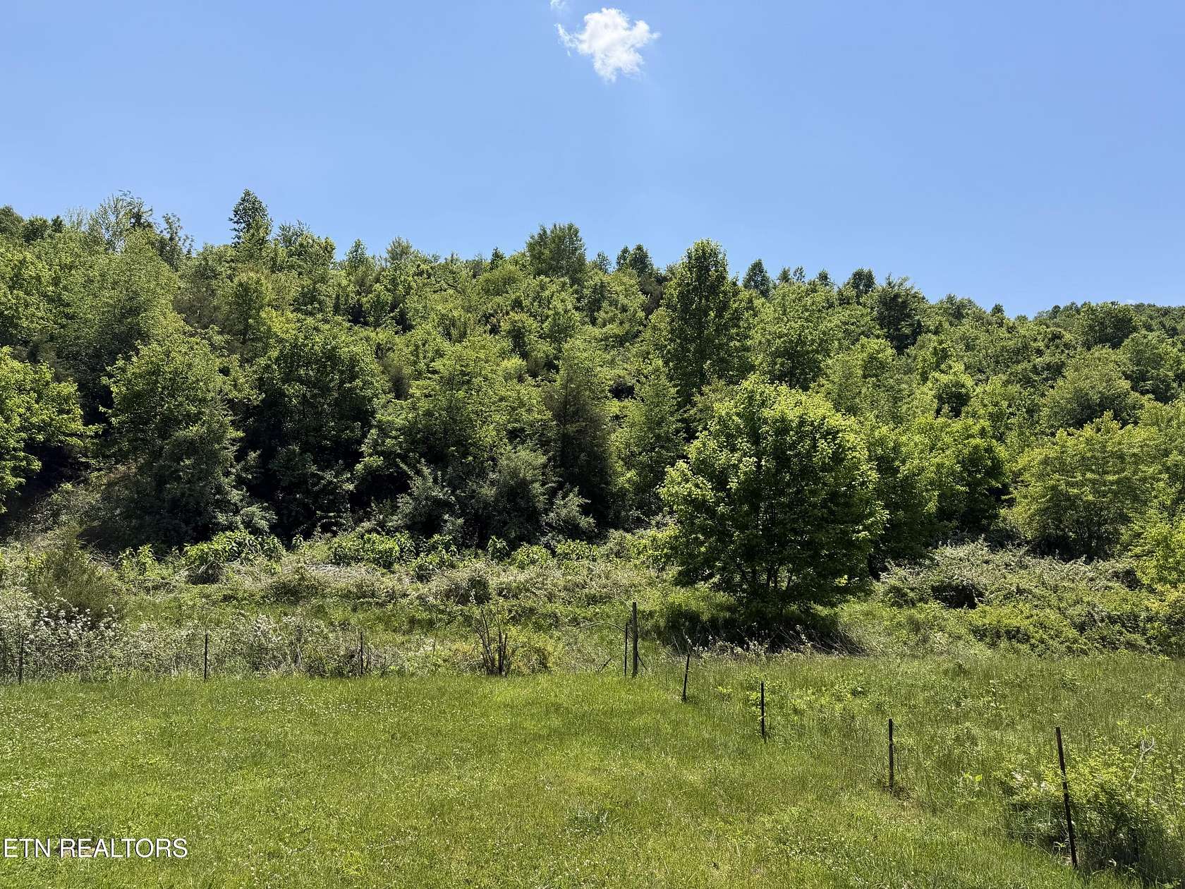 40.9 Acres of Recreational & Residential Land for Sale in Sharps Chapel, Tennessee