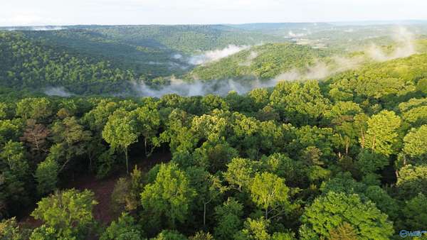 18 Acres of Land for Sale in Grant, Alabama