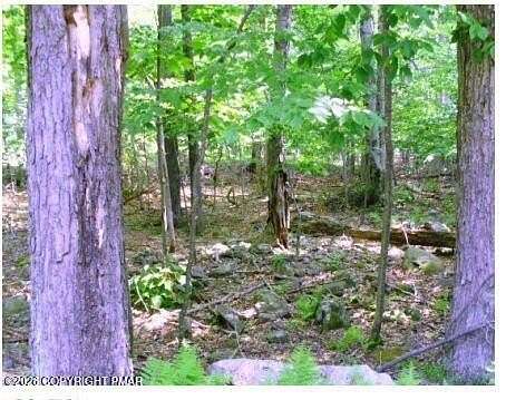 0.2 Acres of Residential Land for Sale in Tobyhanna, Pennsylvania