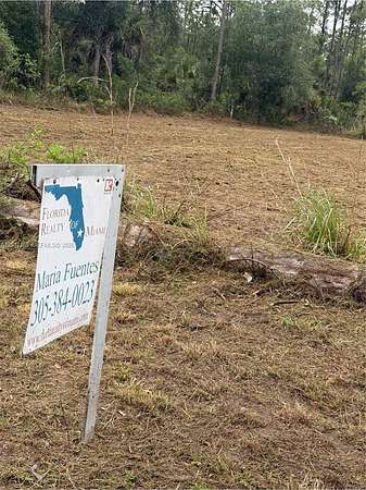 0.23 Acres of Residential Land for Sale in Lehigh Acres, Florida