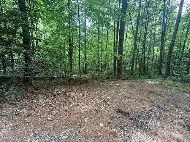 1.24 Acres of Residential Land for Sale in Clayton, Georgia