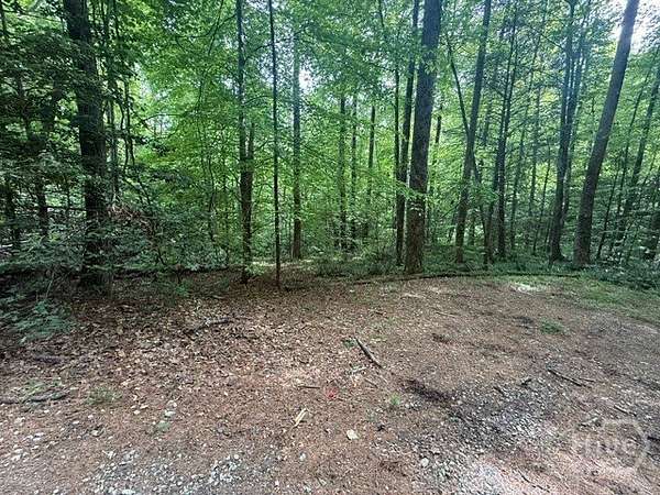 1.24 Acres of Residential Land for Sale in Clayton, Georgia