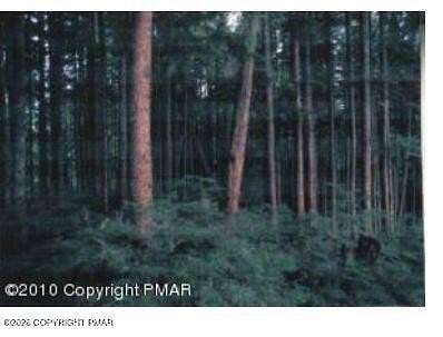 0.3 Acres of Residential Land for Sale in Tobyhanna, Pennsylvania