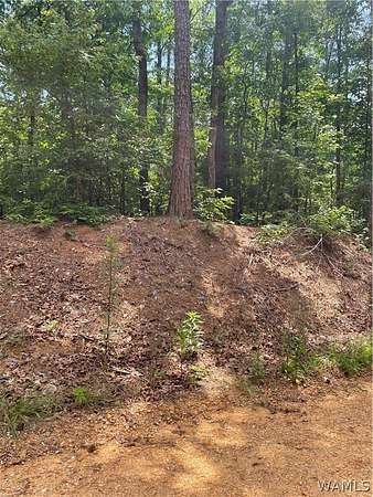 0.47 Acres of Residential Land for Sale in Vance, Alabama