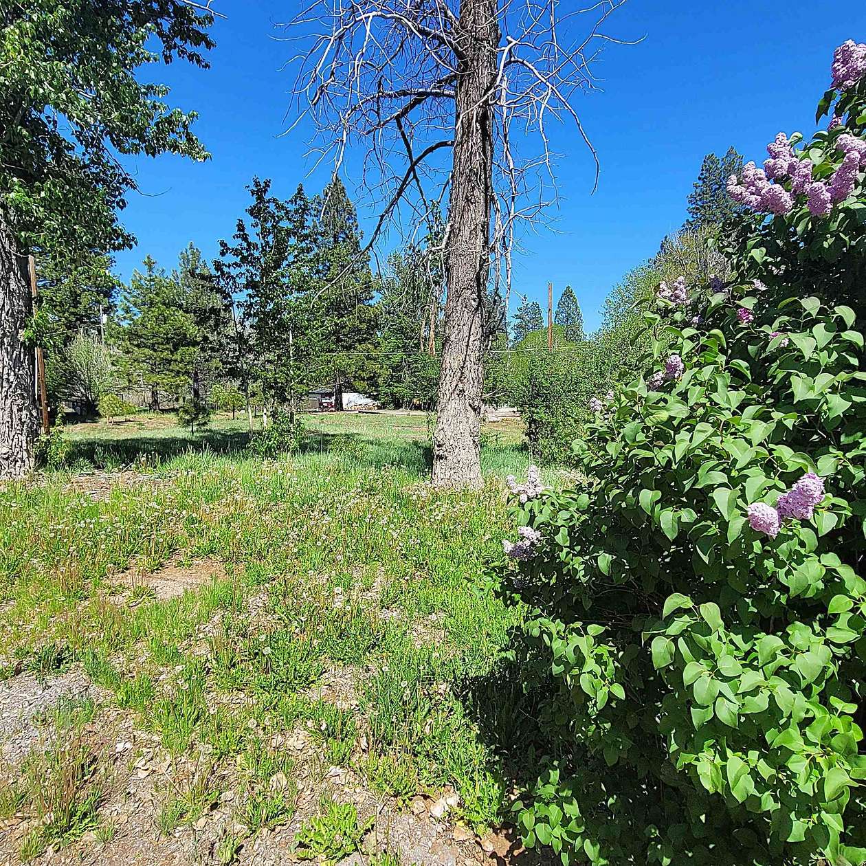 0.4 Acres of Residential Land for Sale in Westwood, California
