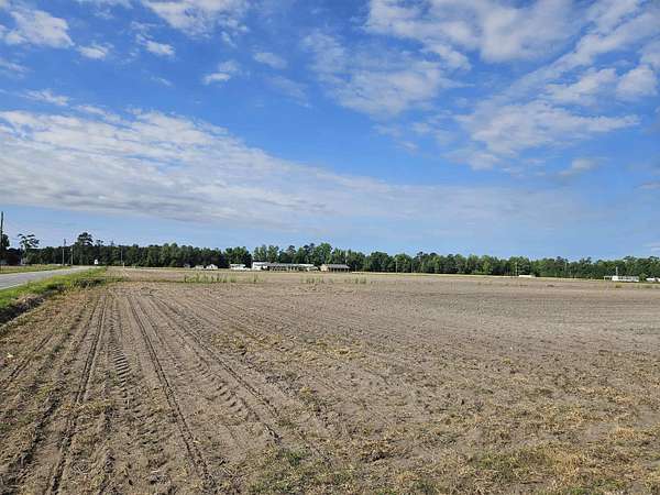 74 Acres of Recreational & Residential Land for Sale in Nichols, South Carolina