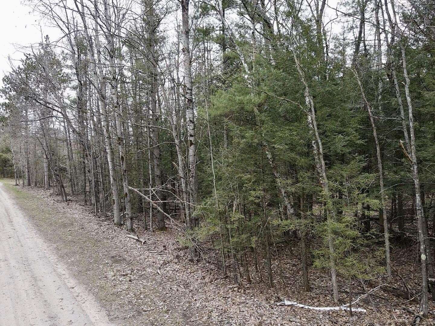 1 Acre of Residential Land for Sale in Indian River, Michigan