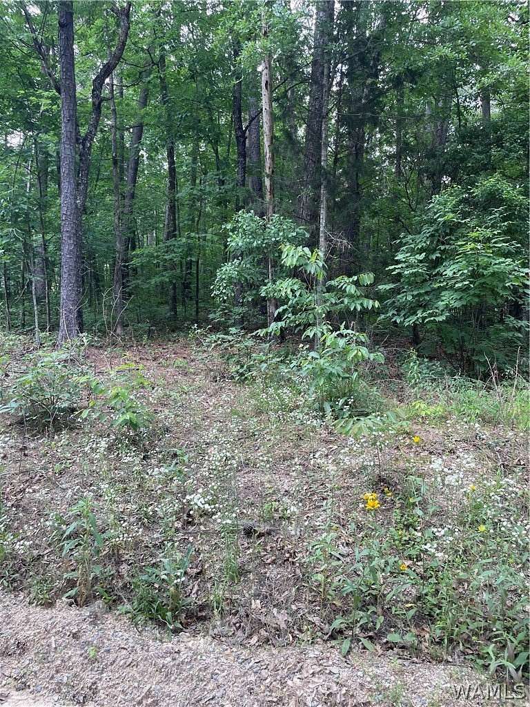 0.46 Acres of Residential Land for Sale in Vance, Alabama