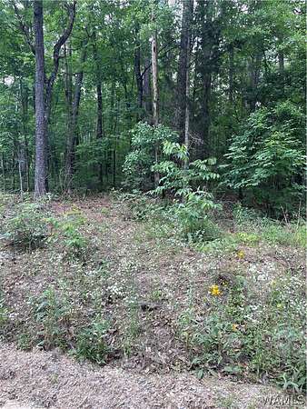 0.46 Acres of Residential Land for Sale in Vance, Alabama
