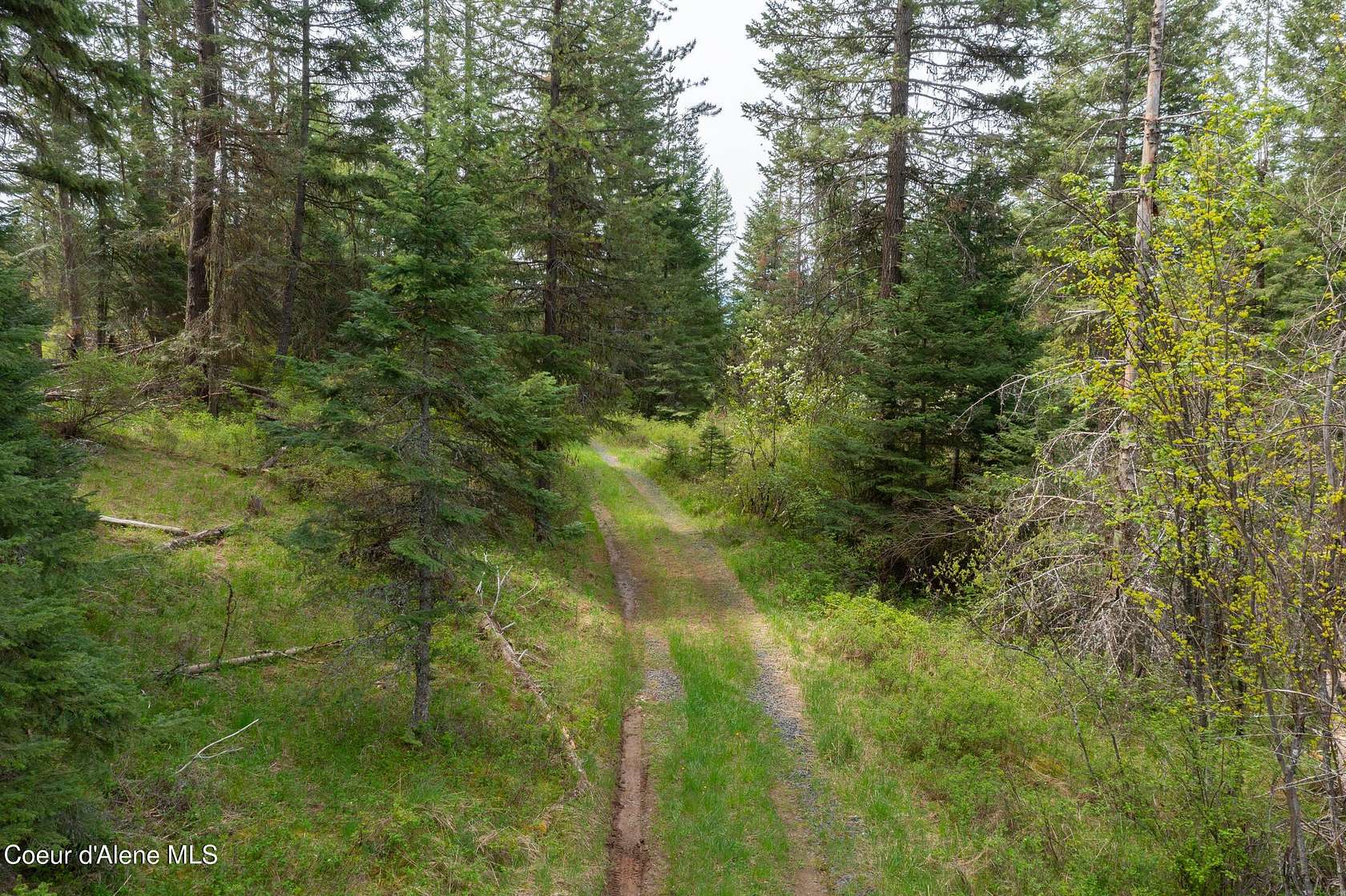 5 Acres of Land for Sale in Santa, Idaho