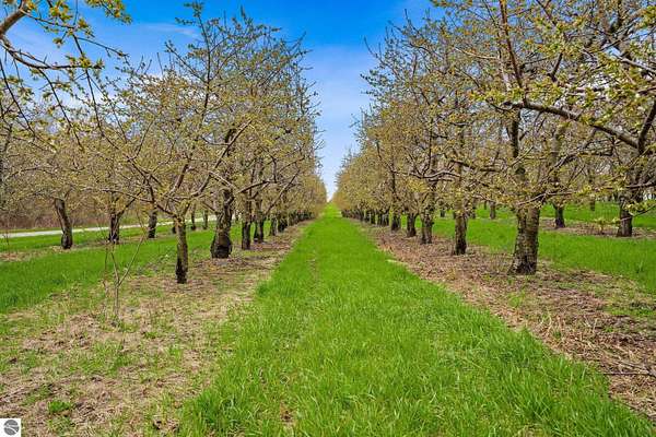 66.9 Acres of Land for Sale in Traverse City, Michigan