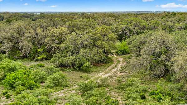 221 Acres of Land for Sale in D'Hanis, Texas