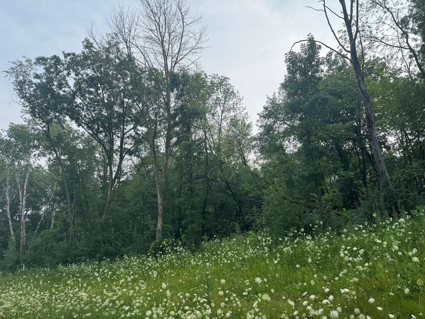3.79 Acres of Residential Land for Sale in Prior Lake, Minnesota